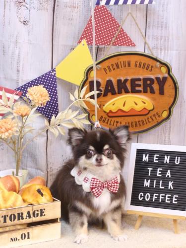 20240929ラブちゃん